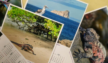 Travel photographers capture abundance of laid-back exotic wildlife in Galapagos - PembinaValleyOnline.com