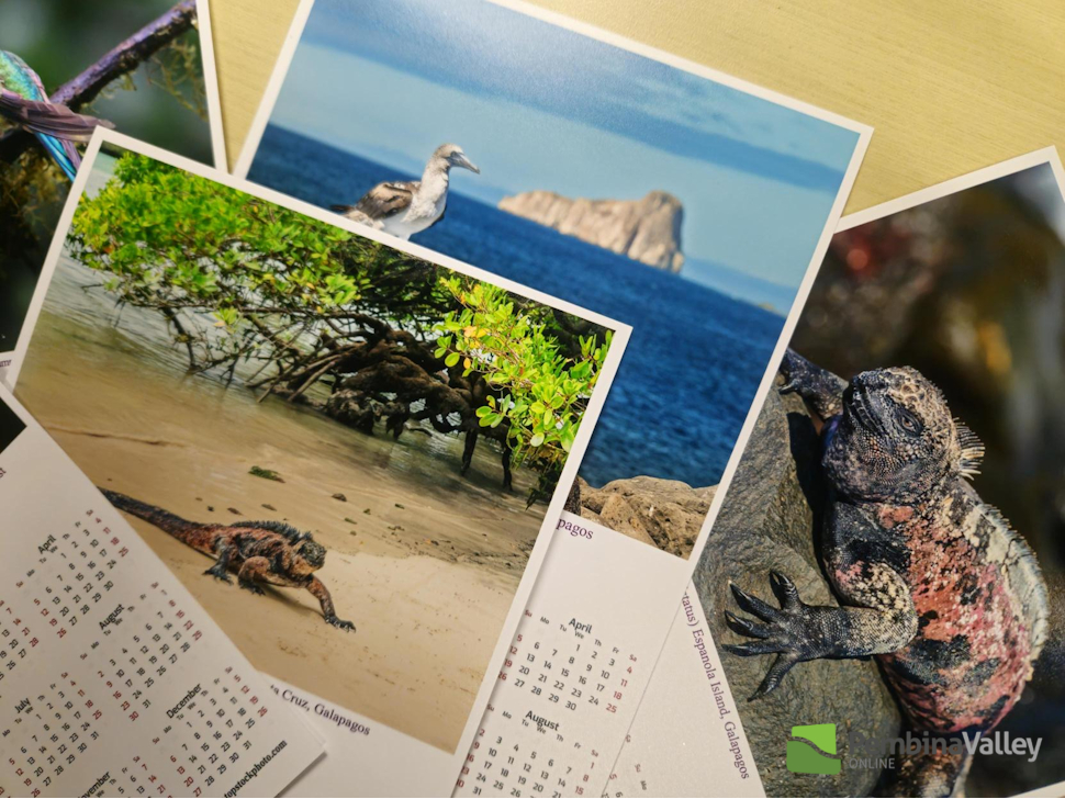 Travel photographers capture abundance of laid-back exotic wildlife in Galapagos - PembinaValleyOnline.com
