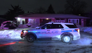 Brampton shooting: man critically injured
