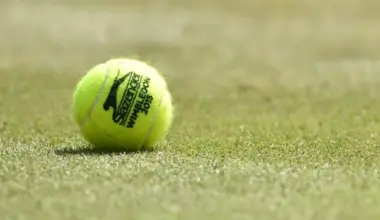 Who is Manas Dhamne? Meet Indian teenage tennis star set for a breakout 2026 image
