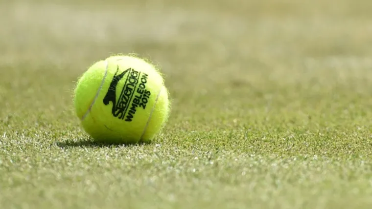 Who is Manas Dhamne? Meet Indian teenage tennis star set for a breakout 2026 image