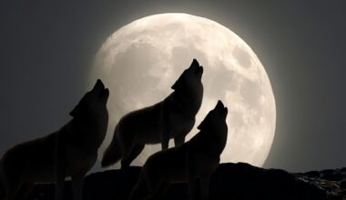 January's Wolf Supermoon Is Getting a Rare Triple Brightness Boost : ScienceAlert