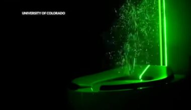 Can Bacteria from the Toilet Really Travel to Our Toothbrushes?