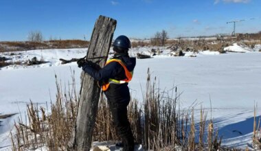 trail camera will capture images of animals visiting natural area in mississauga.