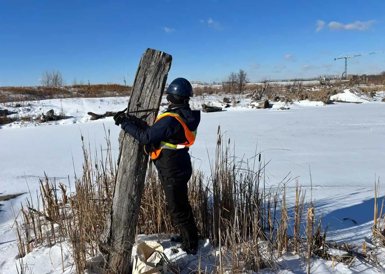 trail camera will capture images of animals visiting natural area in mississauga.