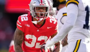 Ohio State Buckeyes have a player or more on every remaining NFL playoff team image