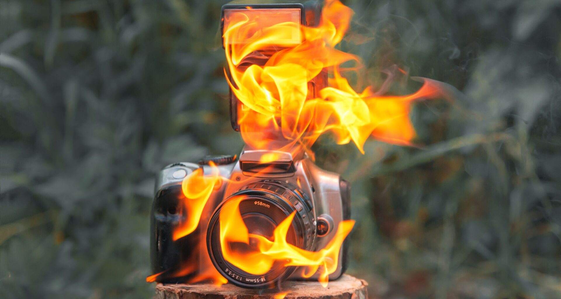 Generative AI could hollow out the photo industry within five years, pro organization warns as creators band together against “the greatest acts of theft in modern history”