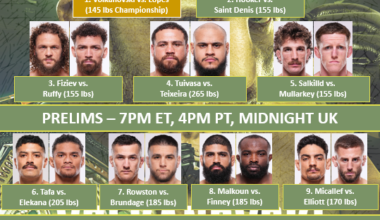 UFC-325