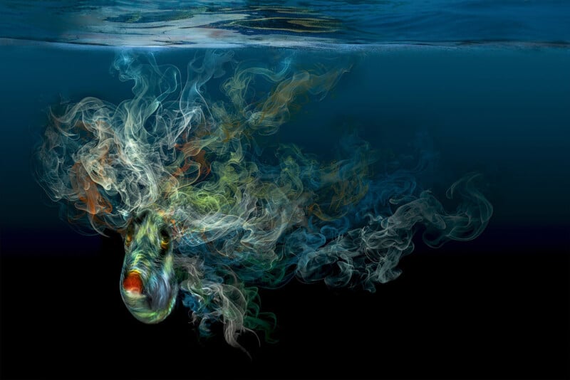 A colorful fish swims underwater, with vibrant, smoky wisps swirling around its head and body, blending into the dark blue water above and fading into a black background below.