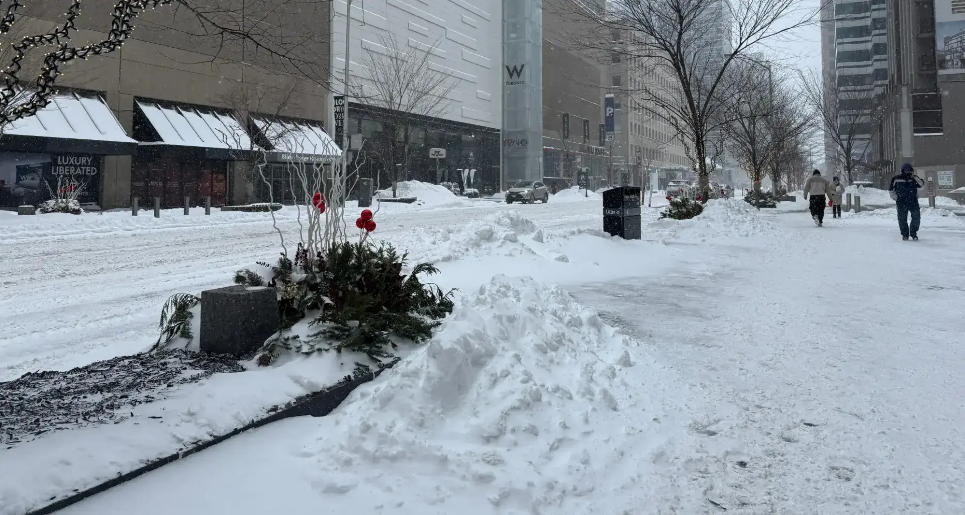 Toronto storm upgraded to orange with up to 40 cm of snow expected: Environment Canada
