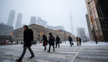 Canadian companies growing wary amid increased interest in takeovers, Bank of America exec says