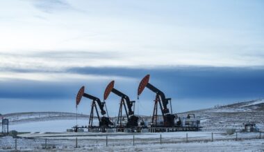 India wants to import more Canadian oil, LNG to fuel its growing economy, minister says