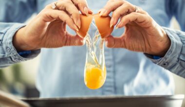 What Happens to Your Brain When You Eat Choline-Rich Foods Like Eggs