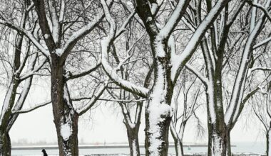 Temperature will feel like -24 today as deep freeze continues