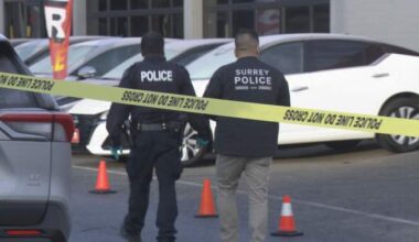 RCMP head of B.C. Extortion Task Force sorry for challenging term ‘crisis’