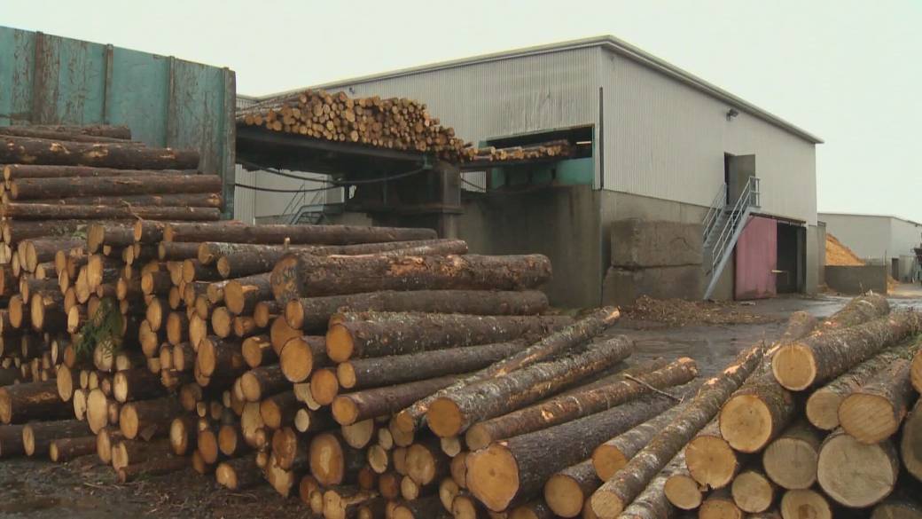 Click to play video: 'Economic lookahead warns about sluggish growth in 2026'