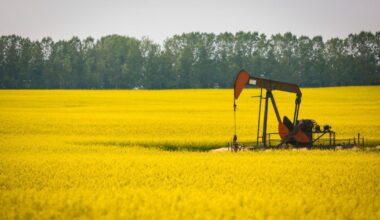 Canola industry reacts to tariff cuts