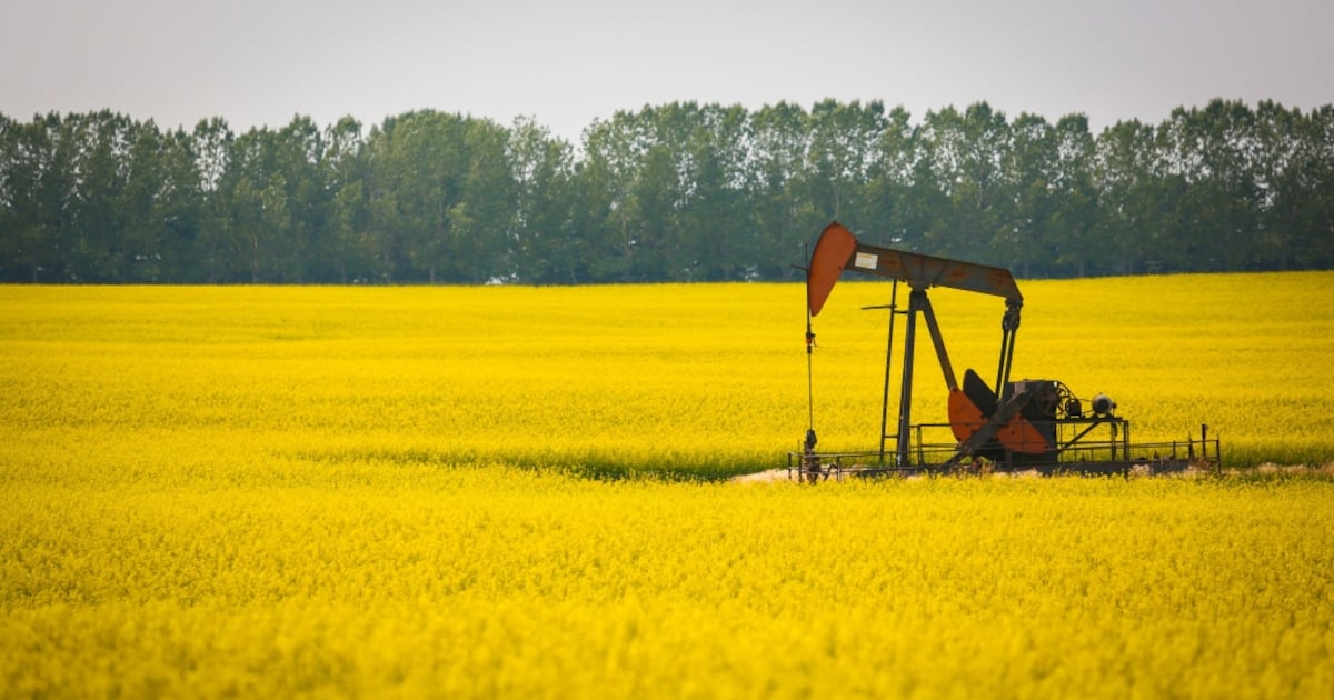 Canola industry reacts to tariff cuts