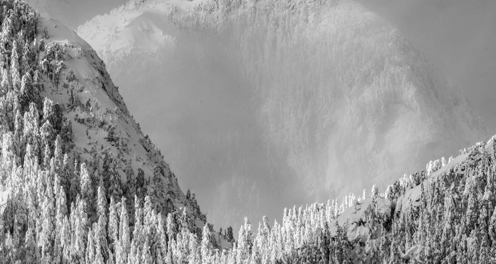 Vancouver Island man named Canadian Photographer of the Year: Canadian Geographic