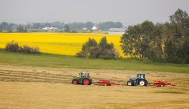 Saskatchewan Premier praises Canada-China deal on canola despite Doug Ford’s reproval