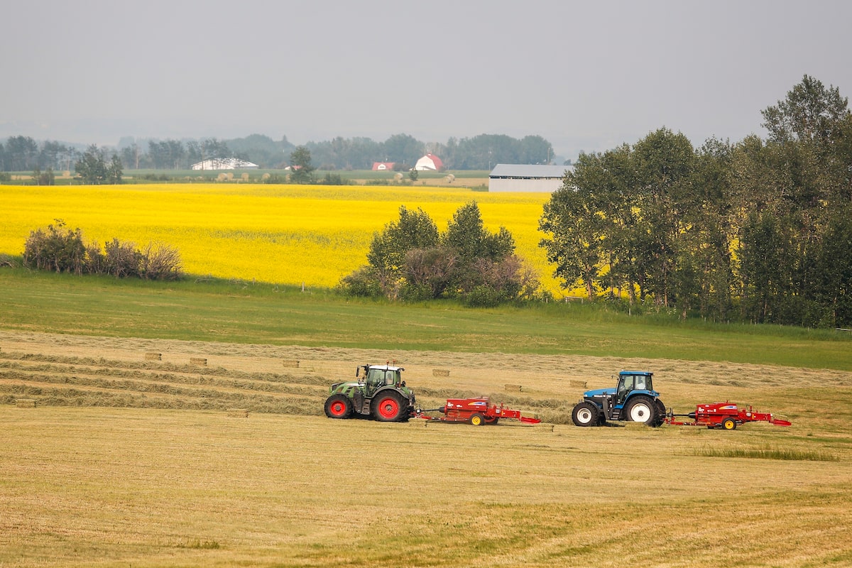 Saskatchewan Premier praises Canada-China deal on canola despite Doug Ford’s reproval