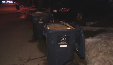 Toronto residents frustrated after blue bins uncollected for days