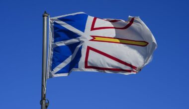 Why Newfoundlanders love buying new cars