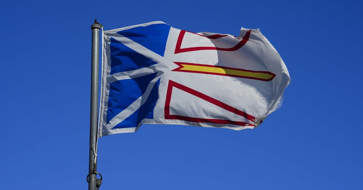 Why Newfoundlanders love buying new cars