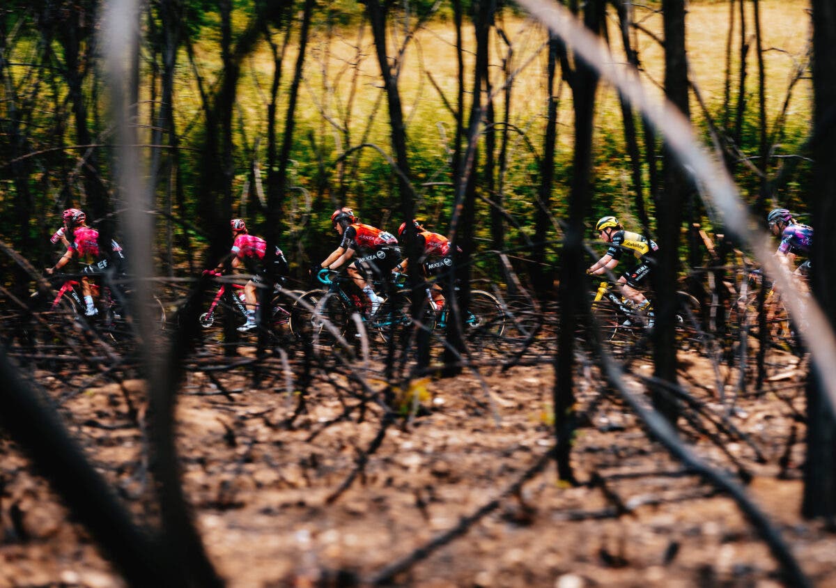 The 24/7 demands of pro cycling can devour riders and trouble their self-identities. 