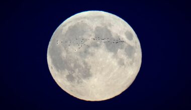 Space is getting 4G connectivity, and that’s just the beginning