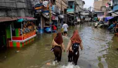 Subscribe Placeholder