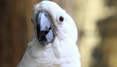 Yahoo lifestyle home