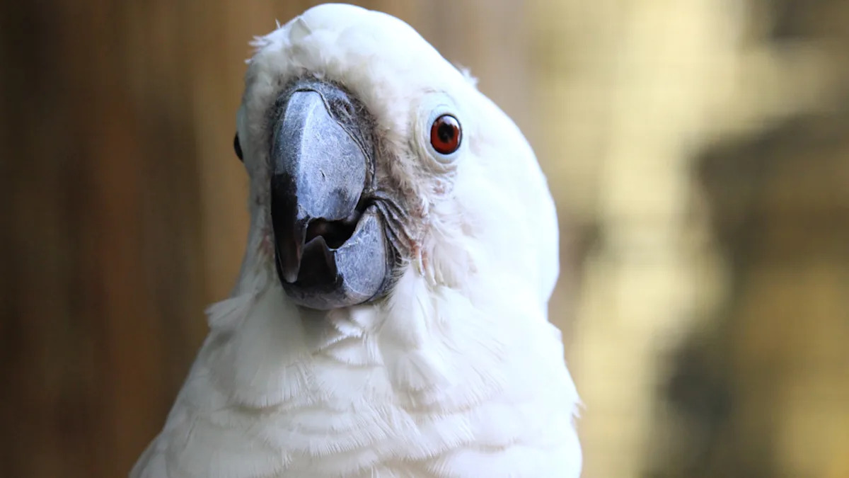 Yahoo lifestyle home