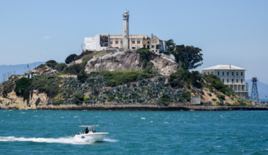 A Swimming Coyote? Videos Confirm First-Ever Sighting at Alcatraz