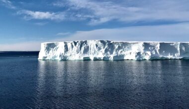 Brighter Side of News