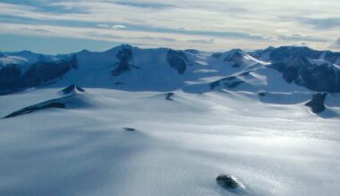 Brighter Side of News