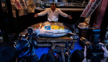 Bluefin tuna fetches record $3.2 million at Japan’s Toyosu market auction