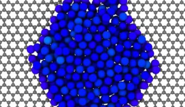 New hybrid state of matter is a mix of solid and liquid – Physics World
