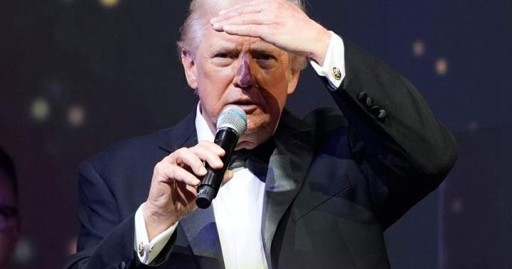 Canadian furniture industry still ‘reeling’ after Trump pauses tariff spike - National