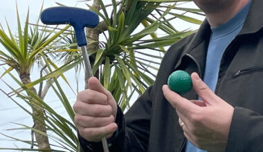 Adventure golf course recommended for listed park