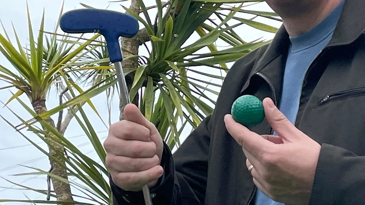 Adventure golf course recommended for listed park