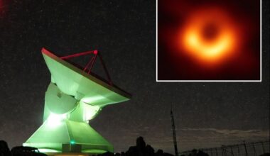 Brighter Side of News