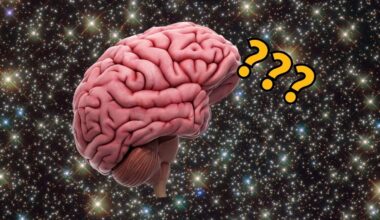 Astronauts Return to Earth With Lasting Brain Changes : ScienceAlert