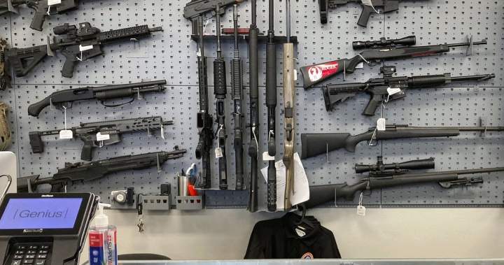 Canada launches compensation program for banned assault-style firearms - National