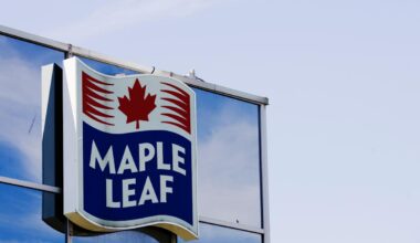 Maple Leaf Foods hikes dividend by 10%; stock rises