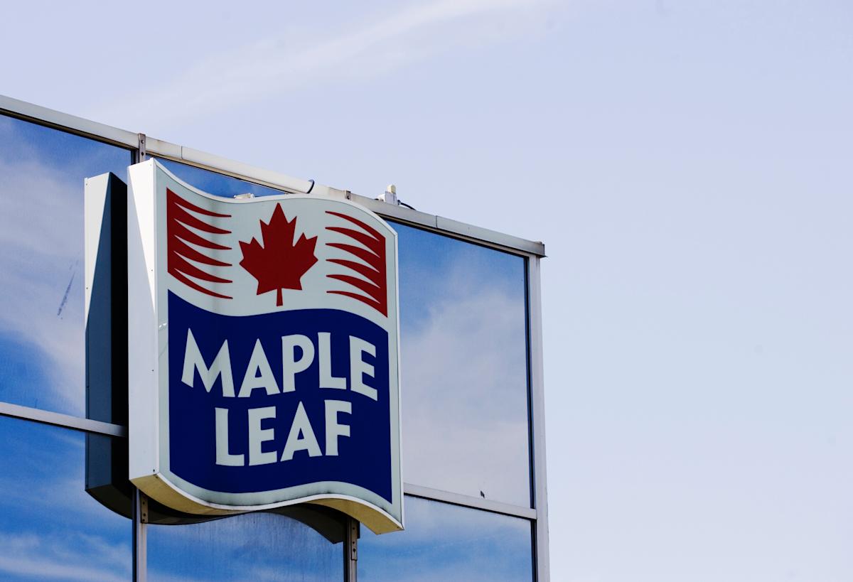 Maple Leaf Foods hikes dividend by 10%; stock rises