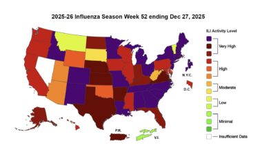 cdc flu update Dec 27