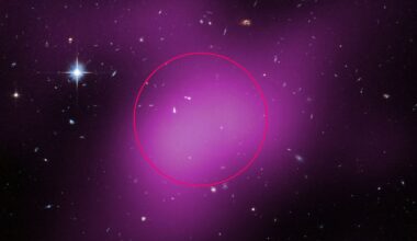 Scientists Weirded Out by Cosmic Bones in Distant Space