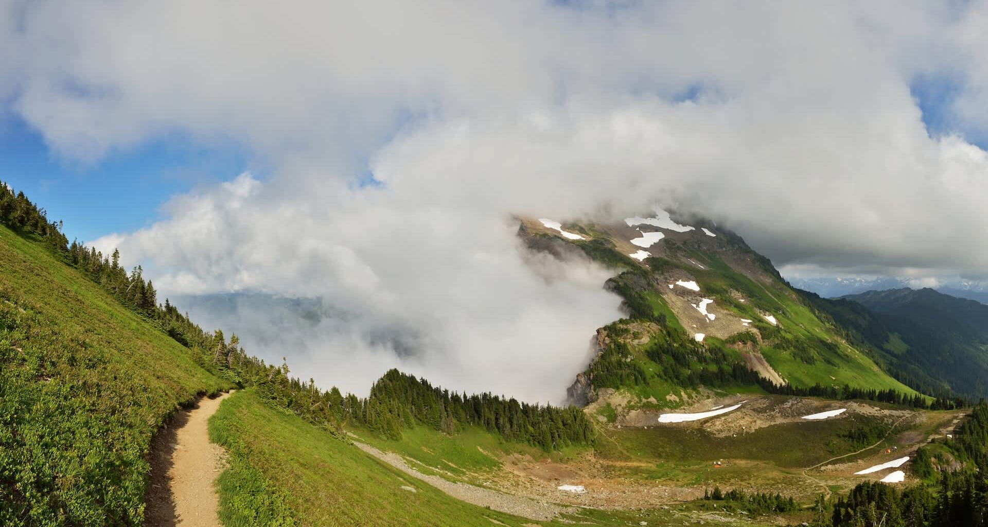 Cougars have been spotted on the Chilliwack hiking trail in Canada, prompting officials to issue warnings about the aggressive big cats.