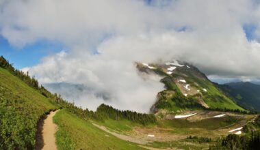 Cougars have been spotted on the Chilliwack hiking trail in Canada, prompting officials to issue warnings about the aggressive big cats.